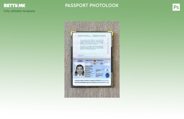 Модерен стил Монголија пасош присутен шаблон за фото изглед